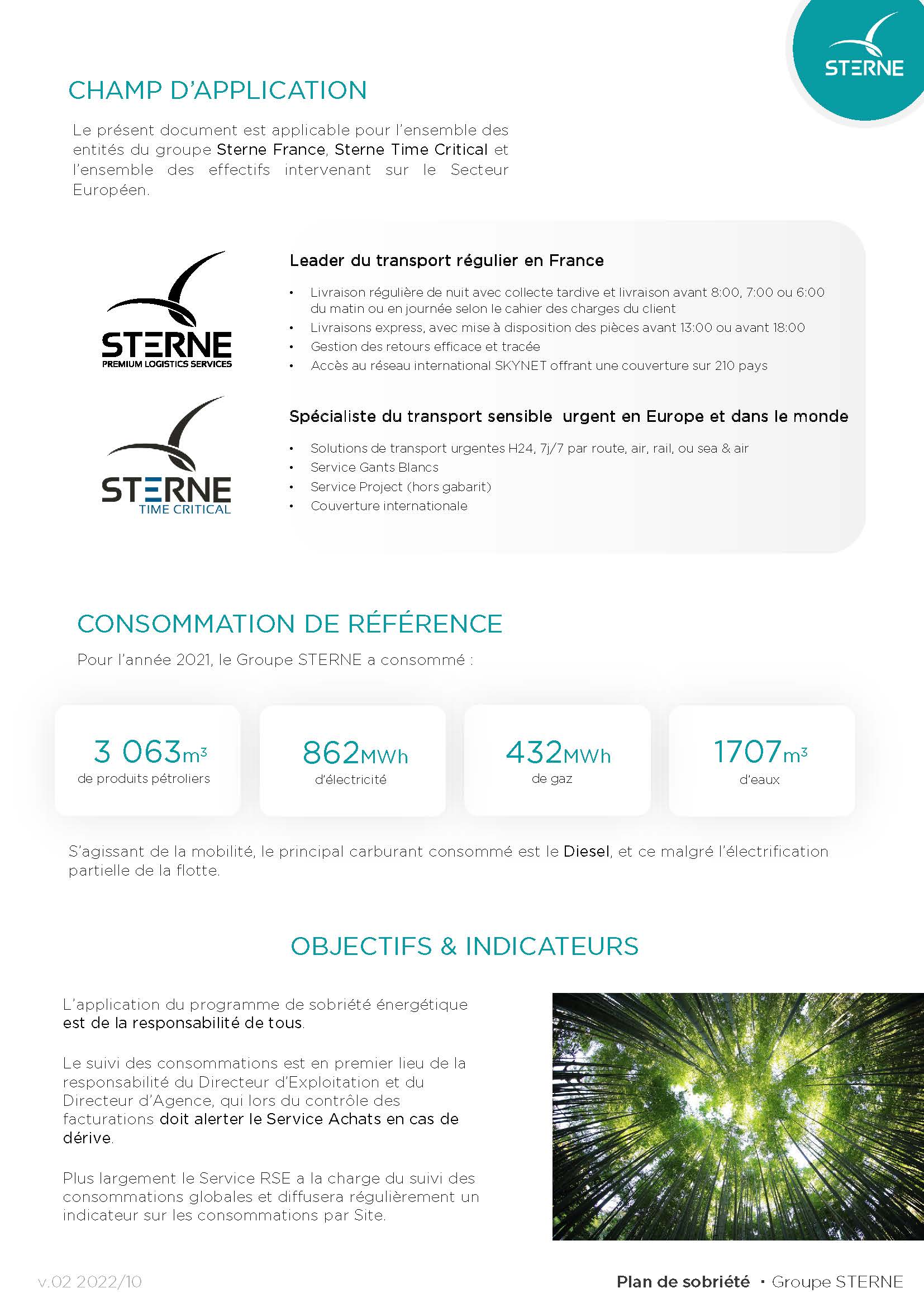 ACGZQY Na Médaillon - Puce De Sobriété Phoenix Na De 2 Ans Reborn From